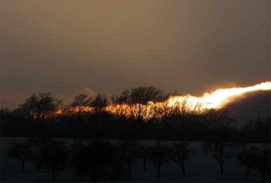 2010-12-dmqf-Sonnenuntergang - Odenwald