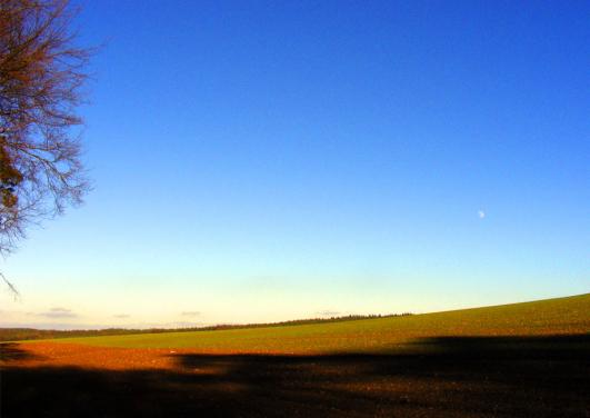 2011-01-djb-Mond u00fcber Odenwald