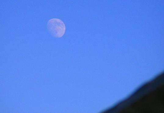 2011-01-djc-Mond