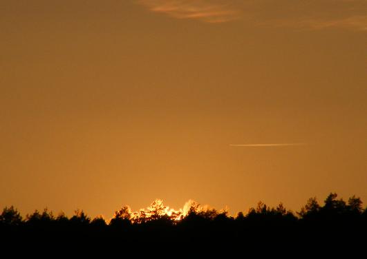 2011-01-eja-Sonnenuntergang - Odenwald