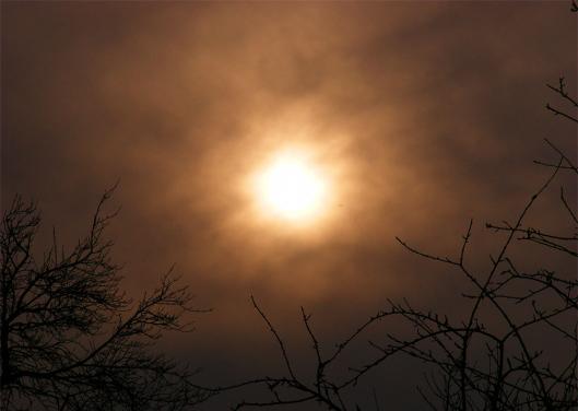 2011-03-ceb-Sonnenuntergang - Odenwald