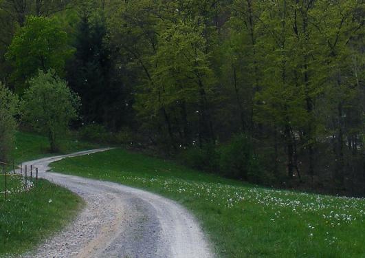 2011-04-epa-Flugsamen-ORB-Effekt - Odenwald