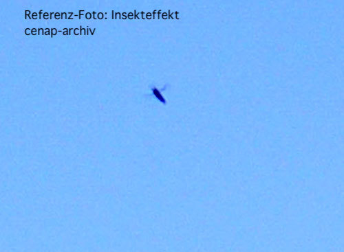 2011-04-ezzzza-insekt-ufoef