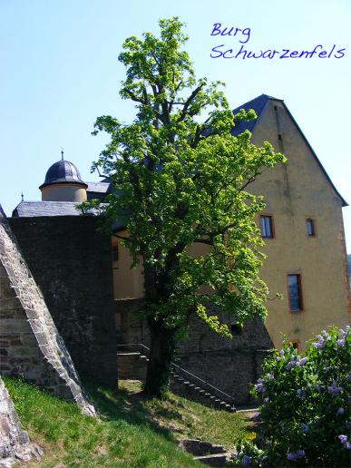 2011-04-ffam-Burg Schwarzenfels