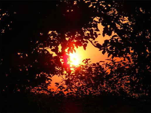 2011-05-amc-Sonnenuntergang - Odenwald