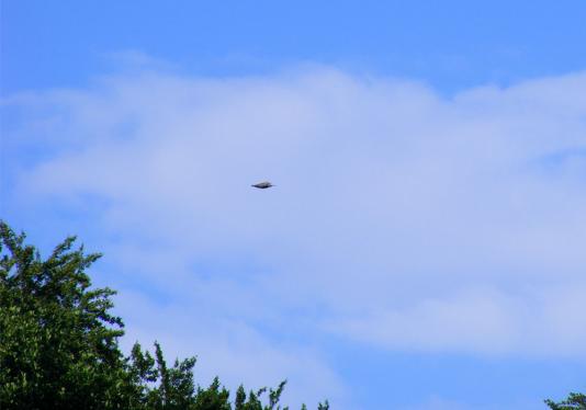 2011-05-dml-Mu00e4usebussard-Ufoeffekt