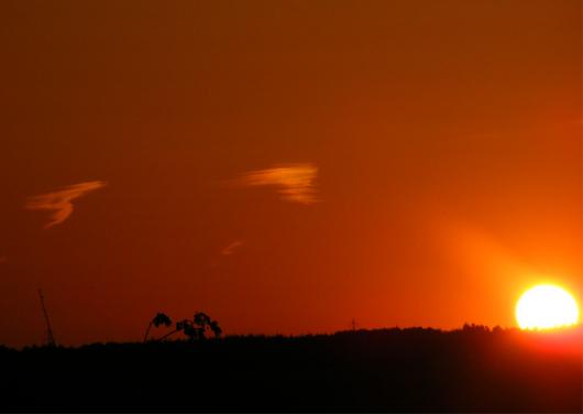 2011-05-gsa-Sonnenuntergang - Odenwald