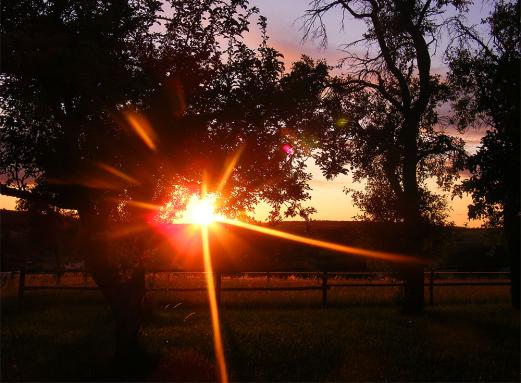 2011-06-eia-Sonnenuntergang - Odenwald