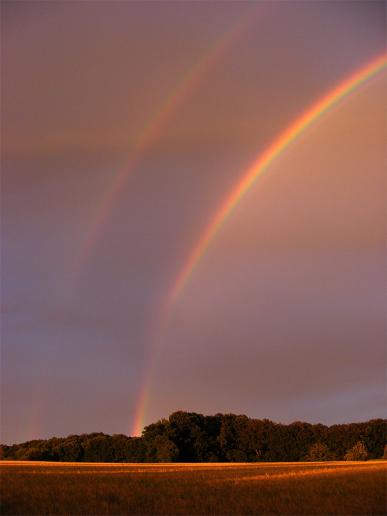 2011-07-cca-Regenbogen - Odenwald