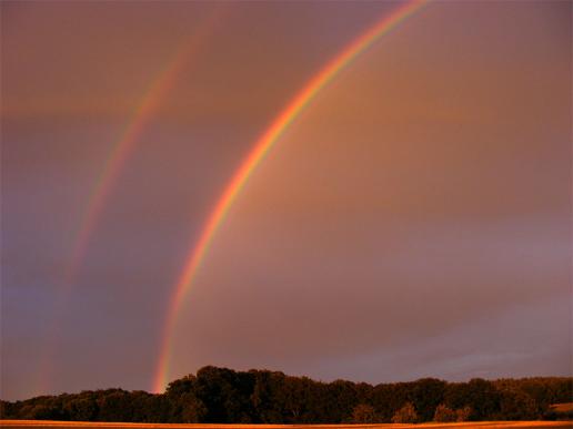 2011-07-cce-Regenbogen - Odenwald