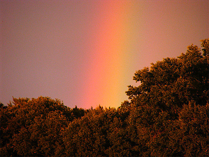 2011-07-ccf-regenbogen-1