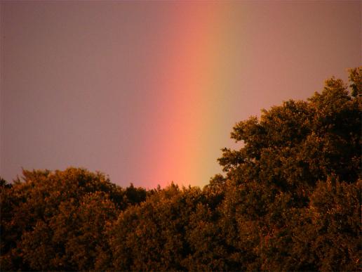 2011-07-ccf-Regenbogen - Odenwald