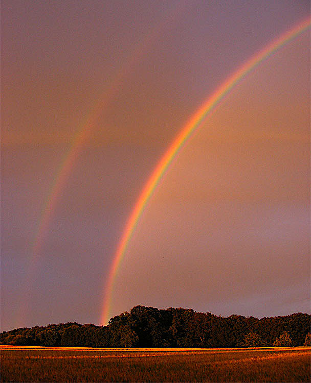 2011-07-ccg-regenbogen-1