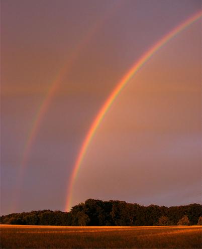 2011-07-ccg-Regenbogen - Odenwald