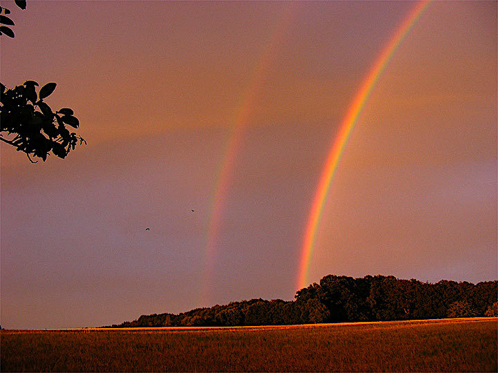 2011-07-ccj-regenbogen-1