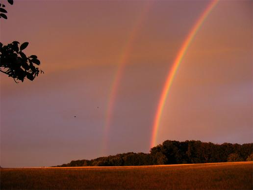 2011-07-ccj-Regenbogen - Odenwald