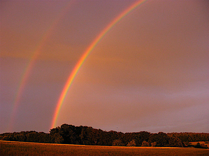 2011-07-cck-regenbogen-1