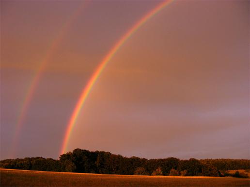 2011-07-cck-Regenbogen - Odenwald