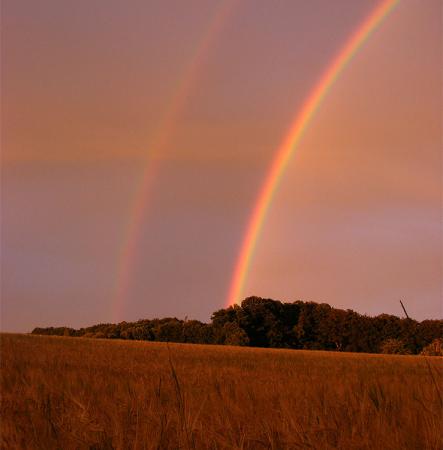 2011-07-ccm-Regenbogen - Odenwald