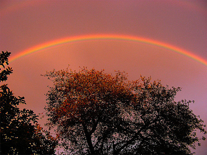 2011-07-cco-regenbogen-1