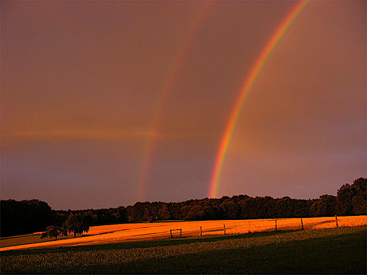 2011-07-ccp-regenbogenx-1