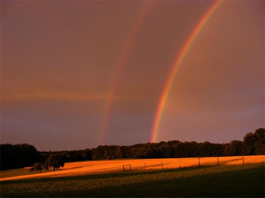 2011-07-ccp-Regenbogen - Odenwald