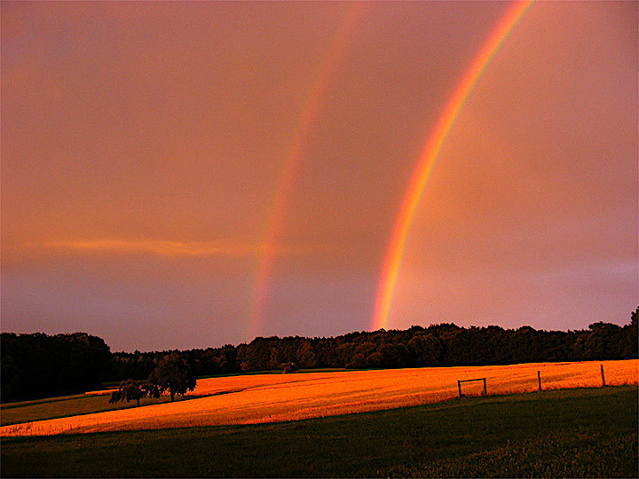 2011-07-ccr-regenbogen-1