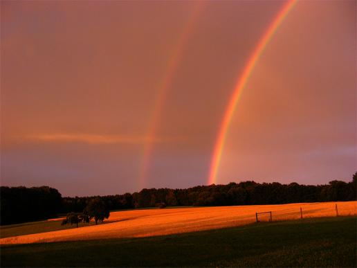 2011-07-ccr-Regenbogen - Odenwald