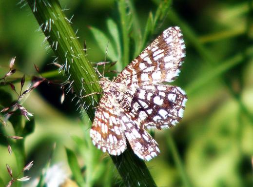 2011-07-ejb-Spanner - Odenwald