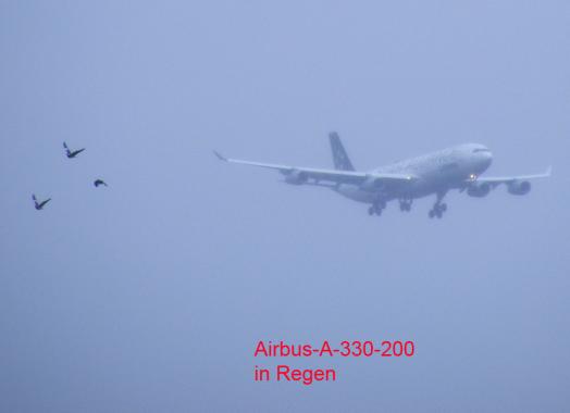 2011-08-buf-STAR ALLIANCE im Anflug - Flughafen Frankfurt