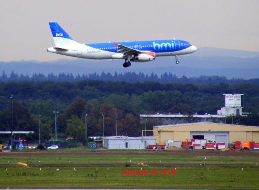 2011-08-buga-bmi im Anflug - Flughafen Frankfurt