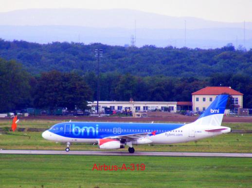 2011-08-bugc-bmi - Flughafen Frankfurt