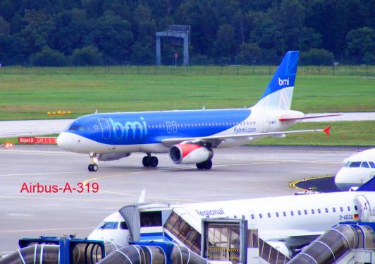 2011-08-bugd-bmi - Flughafen Frankfurt