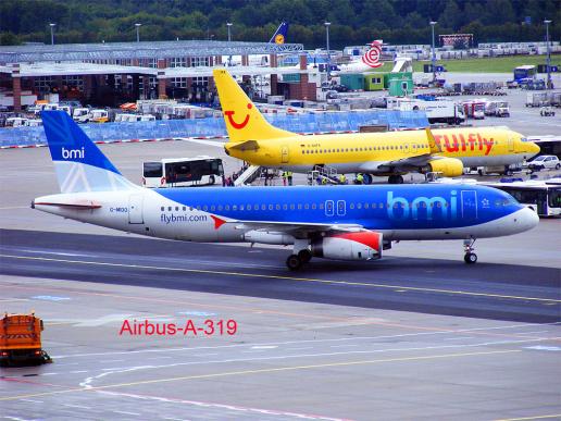 2011-08-bugg-bmi - Flughafen Frankfurt
