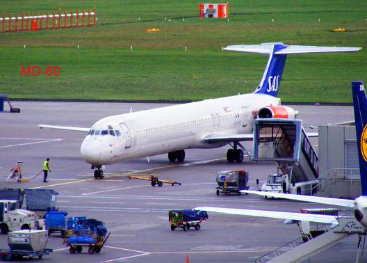 2011-08-bule-SAS - Flughafen Frankfurt