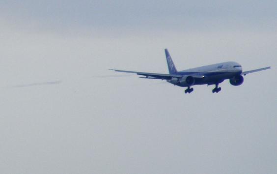 2011-08-bup-ANA im Anflug - Flughafen Frankfurt