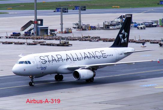 2011-08-buqa-STAR ALLIANCE - Flughafen Frankfurt