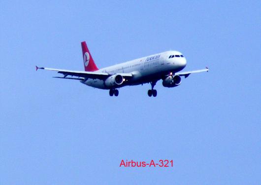 2011-08-cef-TURKISH AIRLINES - Frankfurter Flughafen