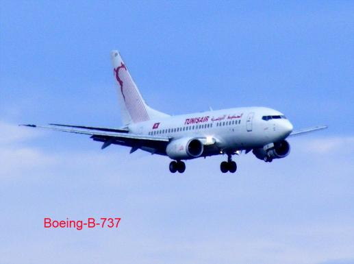 2011-08-cev-TUNISAIR im Anflug - Frankfurter Flughafen