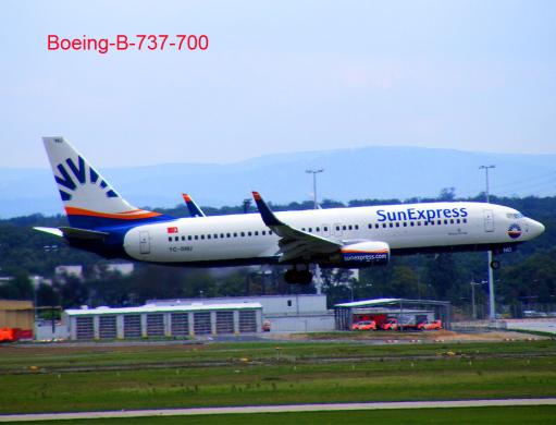 2011-08-cfba-SunExpress im Anflug - Frankfurter Flughafen