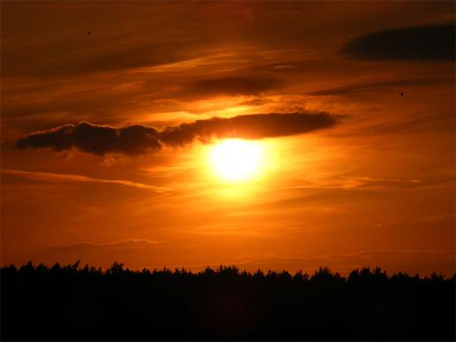 2011-08-cnhc-Sonnenuntergang - Odenwald