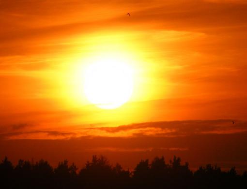 2011-08-cnhe-Sonnenuntergang - Odenwald