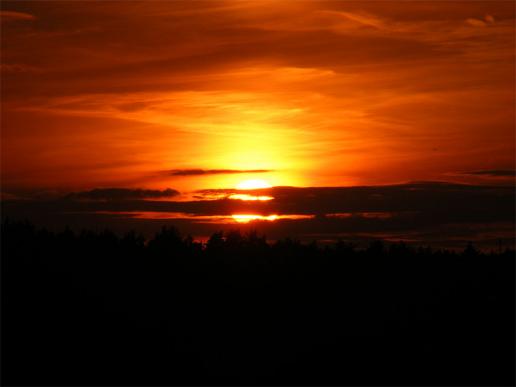 2011-08-cnhh-Sonnenuntergang - Odenwald