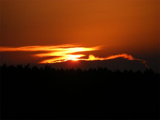 2011-08-cofh-Sonnenuntergang - Odenwald