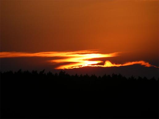 2011-08-cofi-Sonnenuntergang - Odenwald