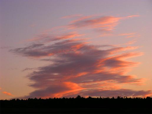 2011-08-efcc-Sonnenuntergang - Odenwald