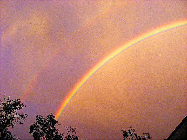 2011-09-crc-regenbogen-odw-1