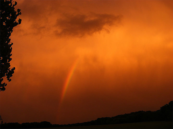 2011-09-crma-regenbogen-odw-1