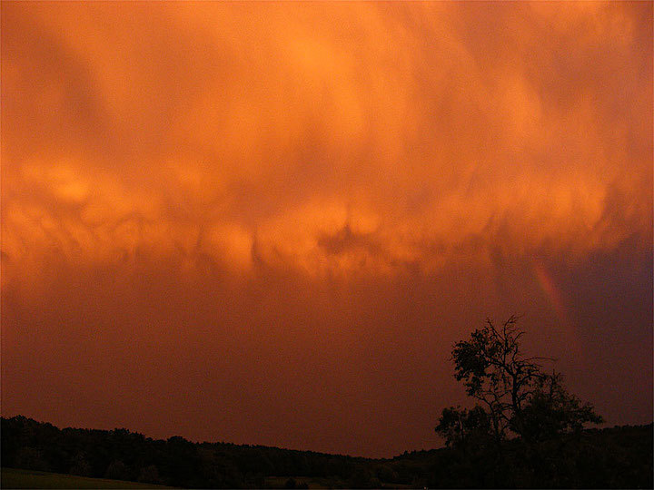 2011-09-crmd-regenbogen-odw-1