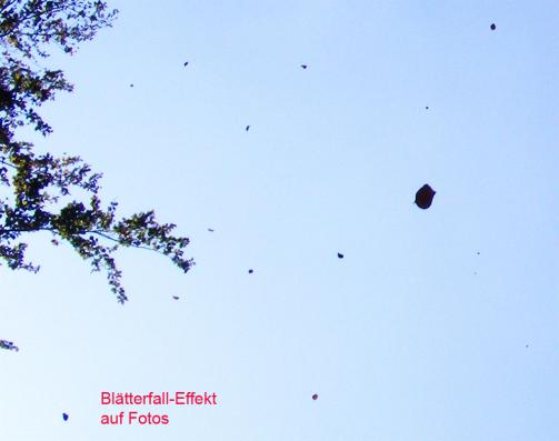 2011-10-amc-Blu00e4tter-Ufoeffekt